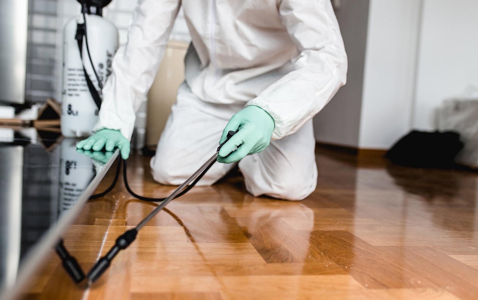 pet odor damage service
